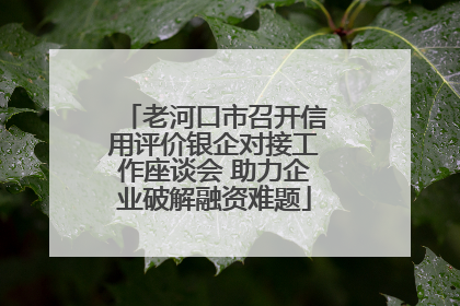 老河口市召开信用评价银企对接工作座谈会 助力企业破解融资难题