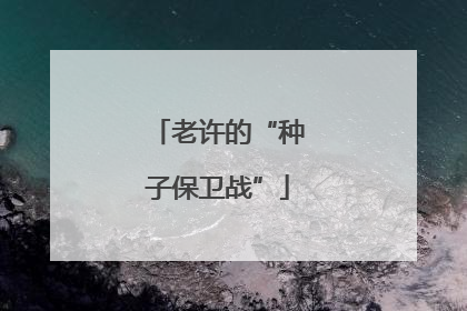 老许的“种子保卫战”