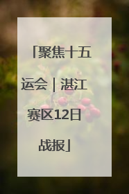 聚焦十五运会｜湛江赛区12日战报