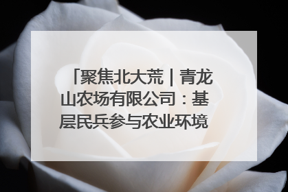 聚焦北大荒｜青龙山农场有限公司：基层民兵参与农业环境综合治理显效