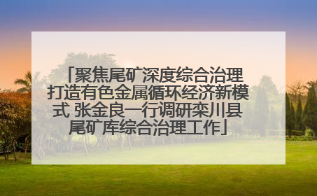 聚焦尾矿深度综合治理 打造有色金属循环经济新模式 张金良一行调研栾川县尾矿库综合治理工作