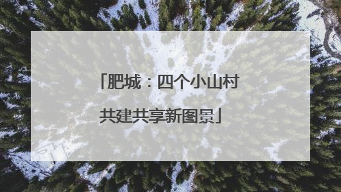 肥城：四个小山村共建共享新图景