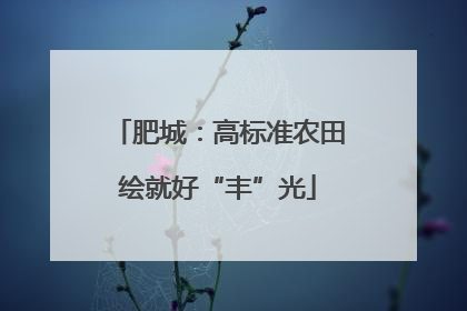 肥城：高标准农田绘就好“丰”光