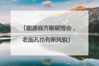 能源商齐聚碳博会，老面孔也有新风貌