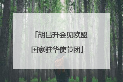 胡昌升会见欧盟国家驻华使节团