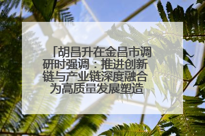 胡昌升在金昌市调研时强调：推进创新链与产业链深度融合 为高质量发展塑造新动能新优势