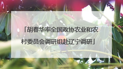 胡春华率全国政协农业和农村委员会调研组赴辽宁调研