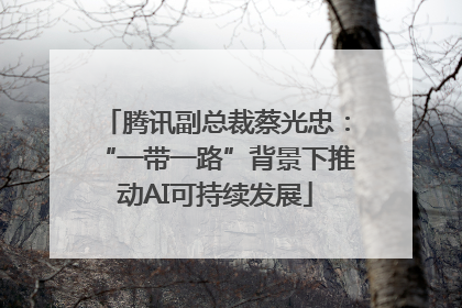 腾讯副总裁蔡光忠：“一带一路”背景下推动AI可持续发展