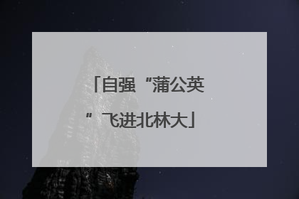 自强“蒲公英”飞进北林大