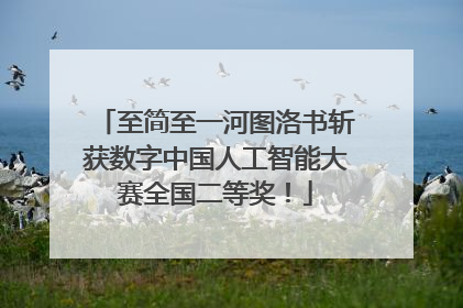 至简至一河图洛书斩获数字中国人工智能大赛全国二等奖！