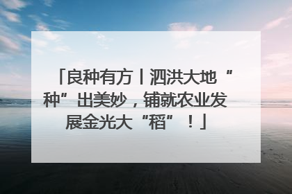 良种有方丨泗洪大地“种”出美妙，铺就农业发展金光大“稻”！