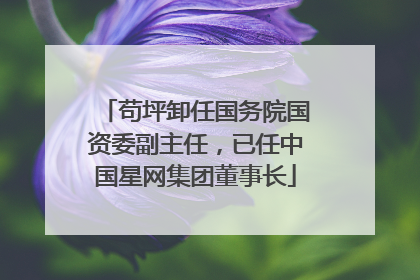 苟坪卸任国务院国资委副主任，已任中国星网集团董事长