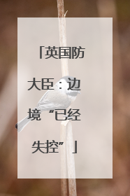 英国防大臣：边境“已经失控”