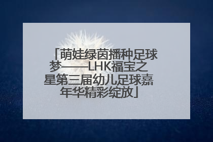 萌娃绿茵播种足球梦——LHK福宝之星第三届幼儿足球嘉年华精彩绽放