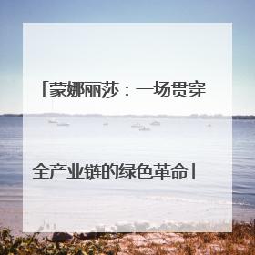 蒙娜丽莎：一场贯穿全产业链的绿色革命