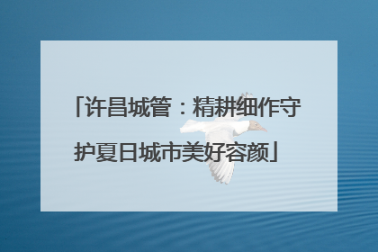 许昌城管：精耕细作守护夏日城市美好容颜