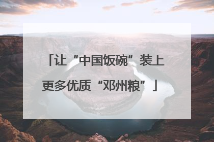 让“中国饭碗”装上更多优质“邓州粮”