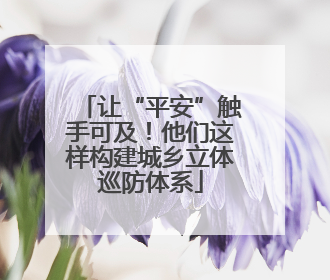 让“平安”触手可及！他们这样构建城乡立体巡防体系