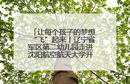 让每个孩子的梦想“飞”起来丨辽宁省军区第二幼儿园走进沈阳航空航天大学开展爱国主义教育