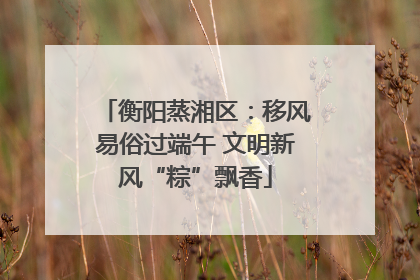 衡阳蒸湘区：移风易俗过端午 文明新风“粽”飘香
