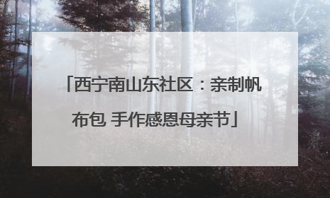 西宁南山东社区：亲制帆布包 手作感恩母亲节