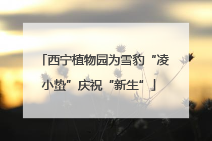 西宁植物园为雪豹“凌小蛰”庆祝“新生”