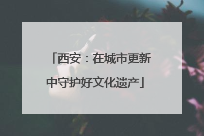 西安：在城市更新中守护好文化遗产