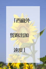 西藏外贸跑出加速度