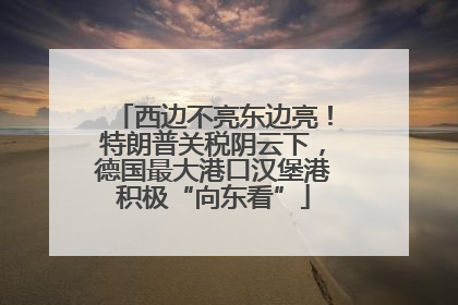西边不亮东边亮！特朗普关税阴云下，德国最大港口汉堡港积极“向东看”