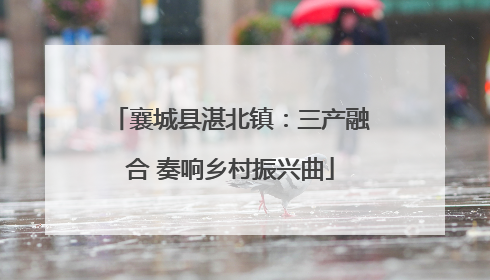 襄城县湛北镇：三产融合 奏响乡村振兴曲