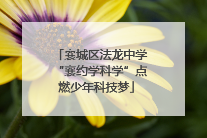 襄城区法龙中学“襄约学科学”点燃少年科技梦