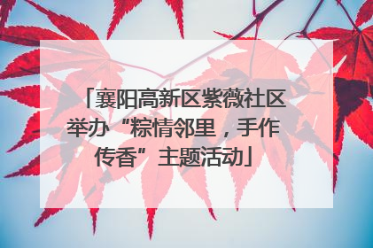 襄阳高新区紫薇社区举办“粽情邻里，手作传香”主题活动