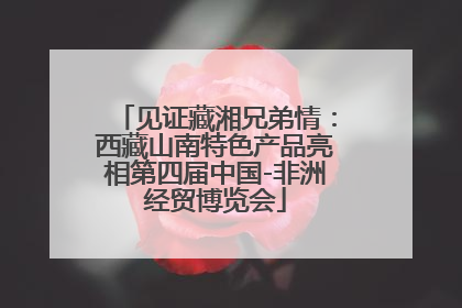 见证藏湘兄弟情：西藏山南特色产品亮相第四届中国-非洲经贸博览会