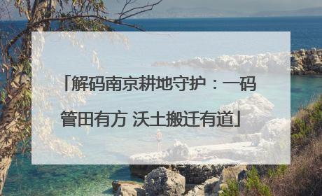 解码南京耕地守护：一码管田有方 沃土搬迁有道