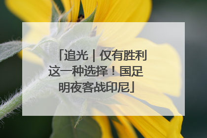 追光｜仅有胜利这一种选择！国足明夜客战印尼