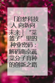 追梦科技人 向新向未来｜“菜篮子”里的种业密码：解码南京蔬菜分子育种的创新之路