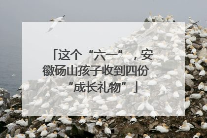 这个“六一”，安徽砀山孩子收到四份“成长礼物”