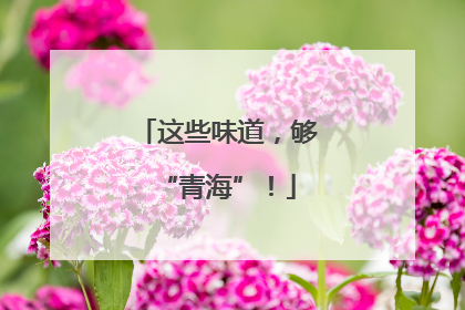 这些味道，够“青海”！
