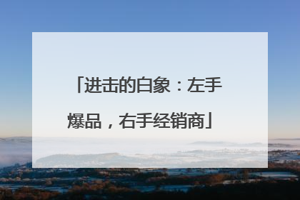 进击的白象：左手爆品，右手经销商