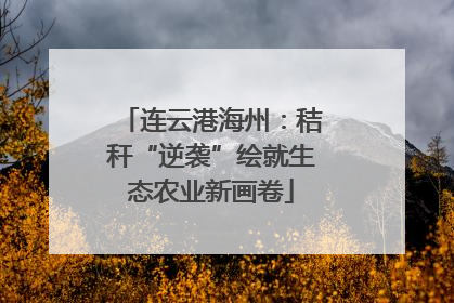 连云港海州：秸秆“逆袭”绘就生态农业新画卷