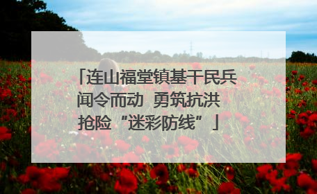 连山福堂镇基干民兵闻令而动  勇筑抗洪抢险“迷彩防线”