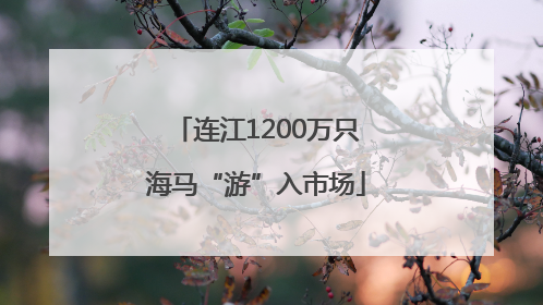 连江1200万只海马“游”入市场