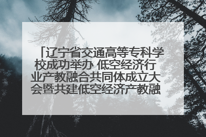 辽宁省交通高等专科学校成功举办 低空经济行业产教融合共同体成立大会暨共建低空经济产教融合新生态论坛