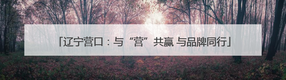 辽宁营口：与“营”共赢 与品牌同行