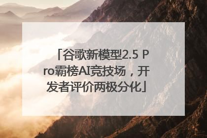 谷歌新模型2.5 Pro霸榜AI竞技场，开发者评价两极分化