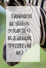 调研促发展 乐山市少先队鼓号队走进凤凰学校进行调研