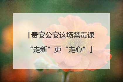 贵安公安这场禁毒课“走新”更“走心”