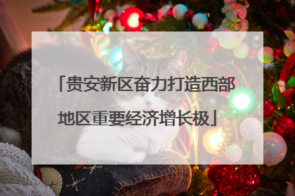 贵安新区奋力打造西部地区重要经济增长极