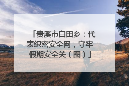 贵溪市白田乡：代表织密安全网，守牢假期安全关（图）