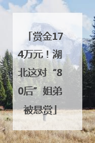 赏金174万元！湖北这对“80后”姐弟被悬赏